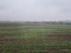 Pantelimon Bucuresti